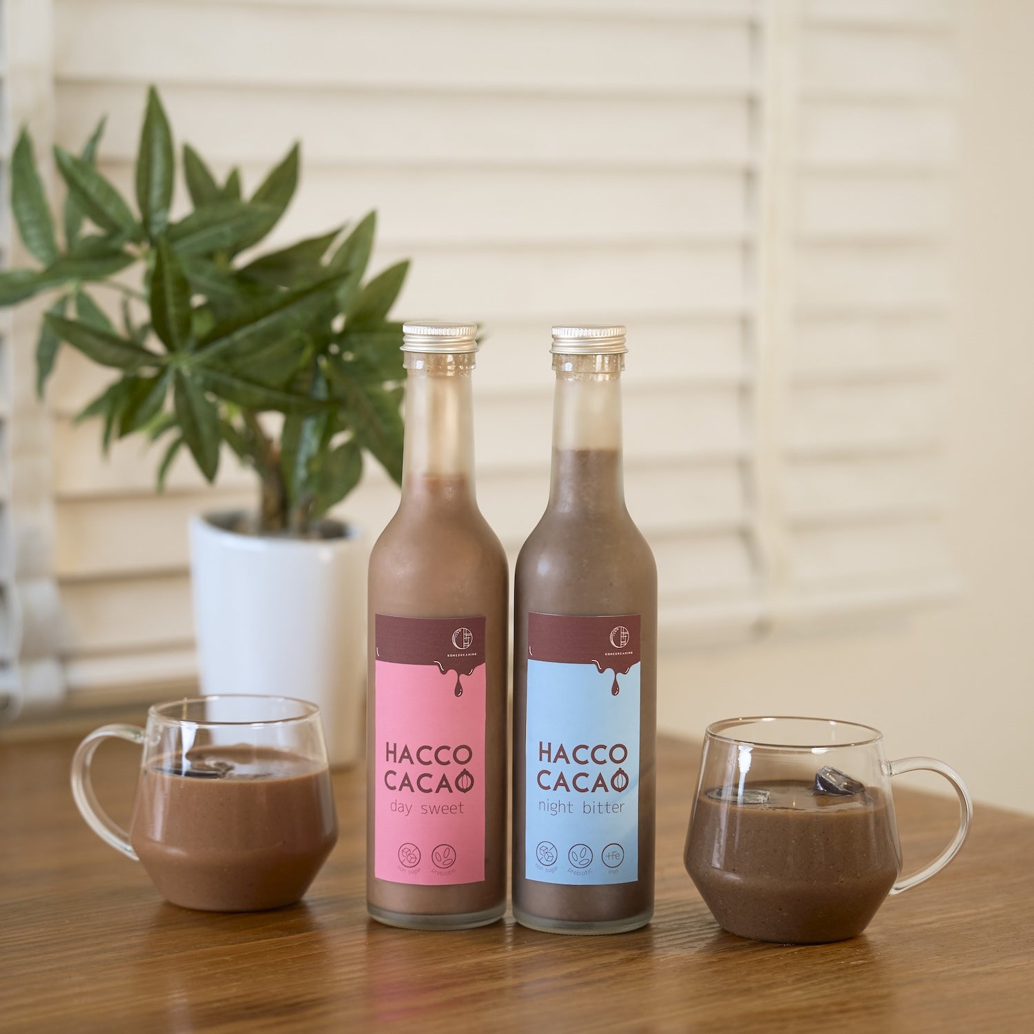 HACCO CACAO – HATCH