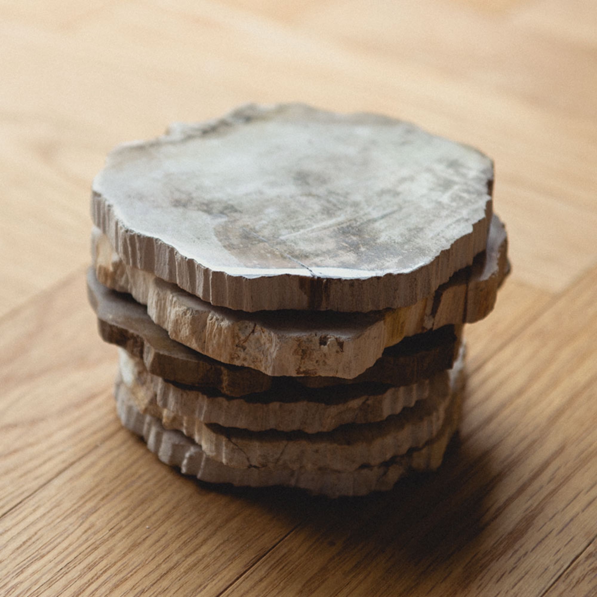 アート作品のような珪化木のコースター – HATCH