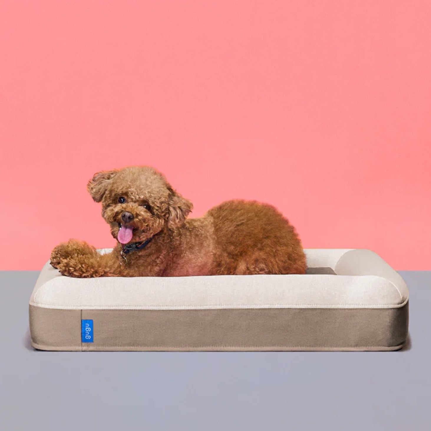眠りの会社が作ったドッグベッド – HATCH