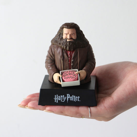 Harry's Birthday Cake