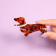 Dachshund