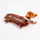 Dachshund