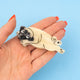 Pug