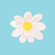 Daisy