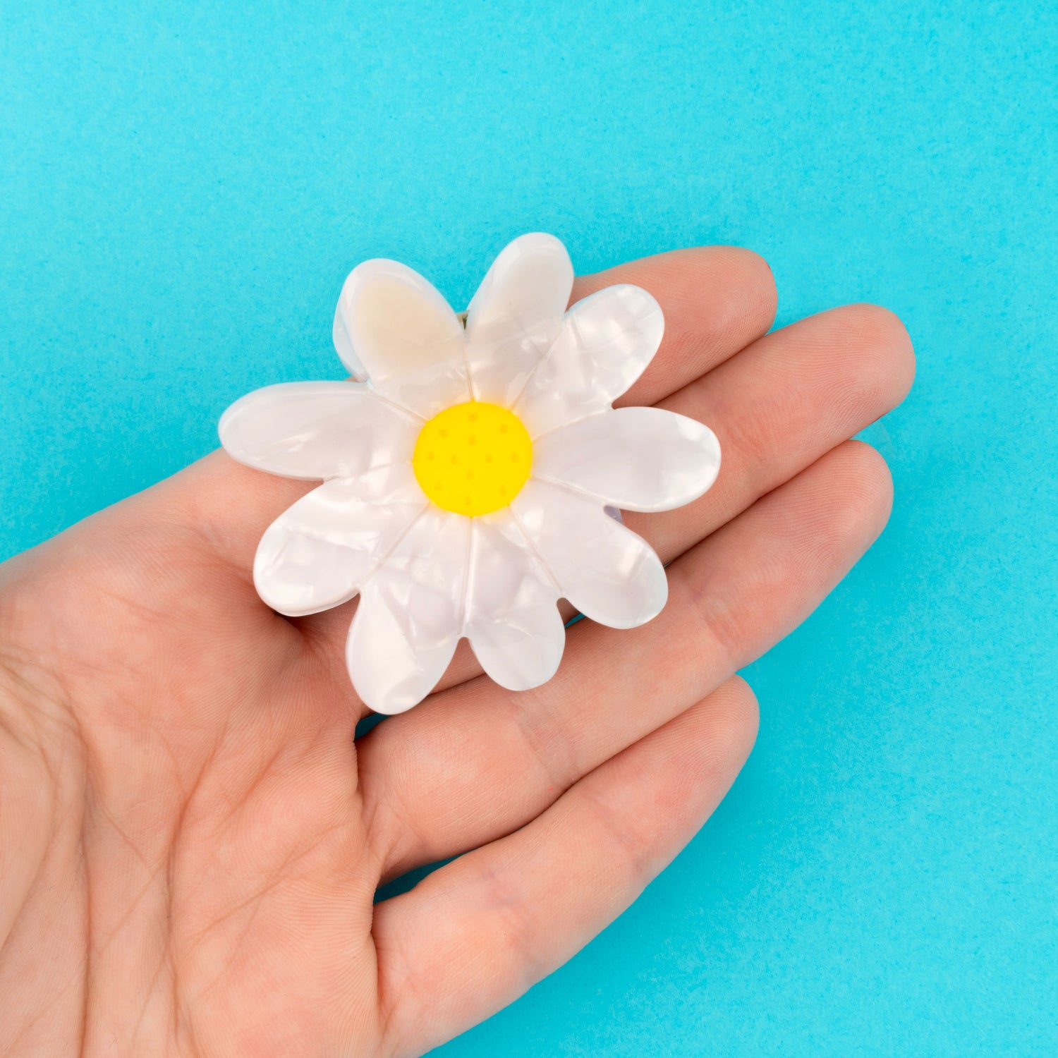 Daisy