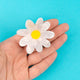 Daisy