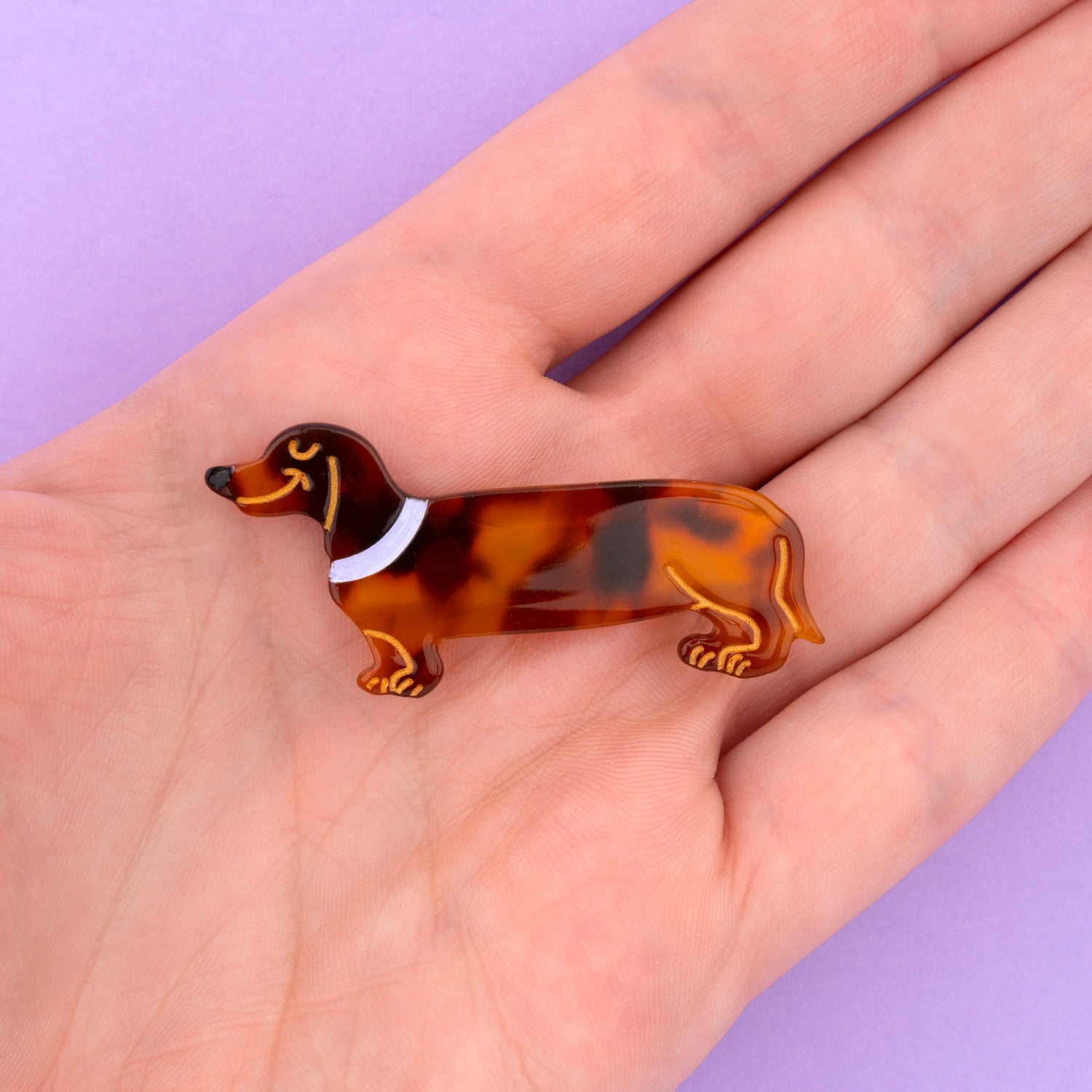 Cute Dachshund
