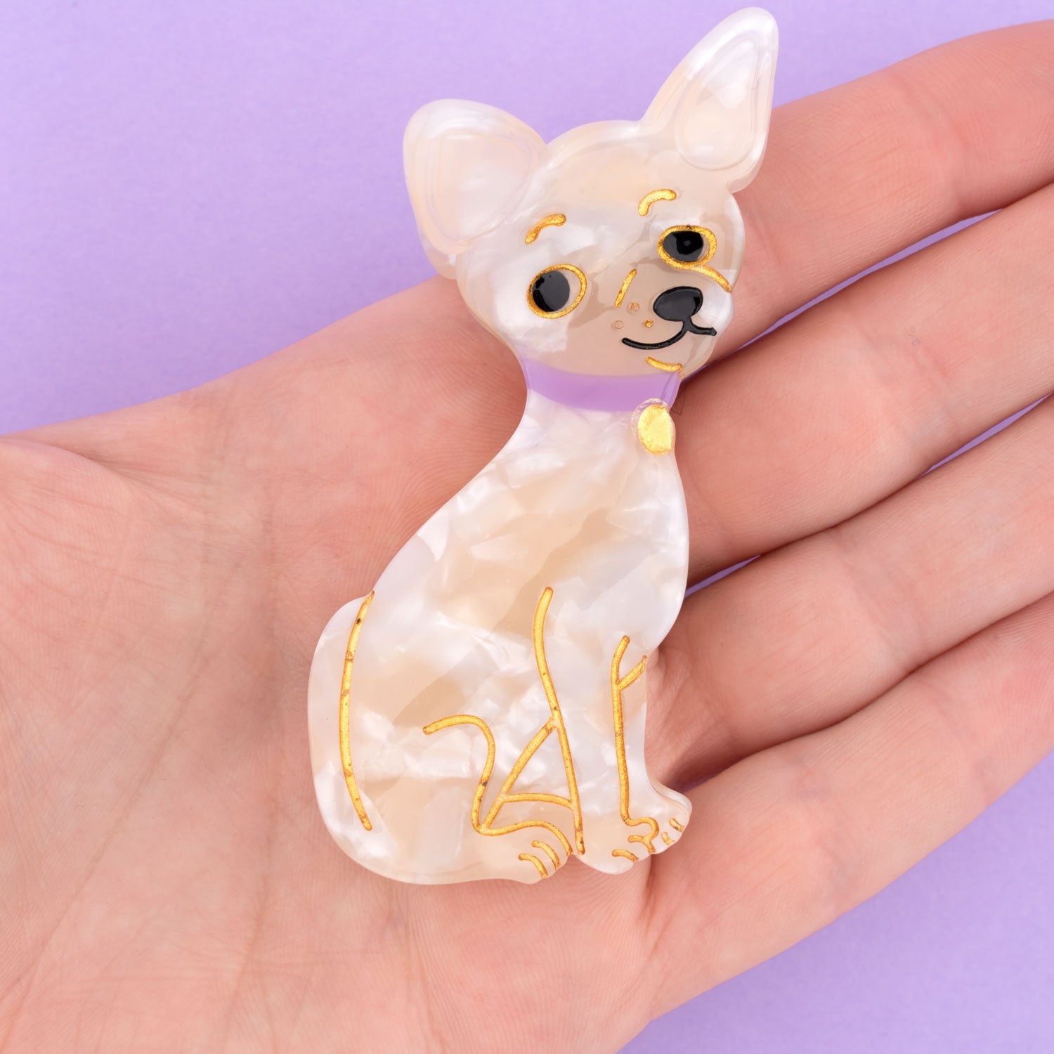 Chihuahua