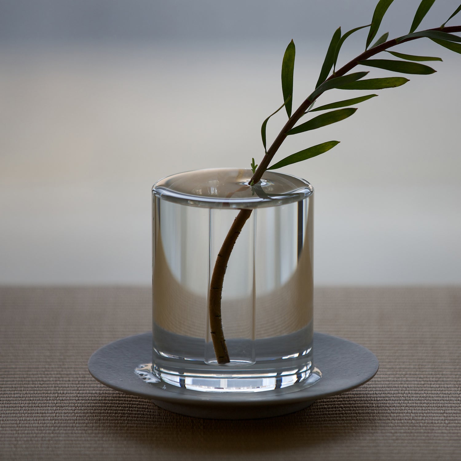 植物と水が一体となって見える花器 / shallows Crystal Vase – HATCH