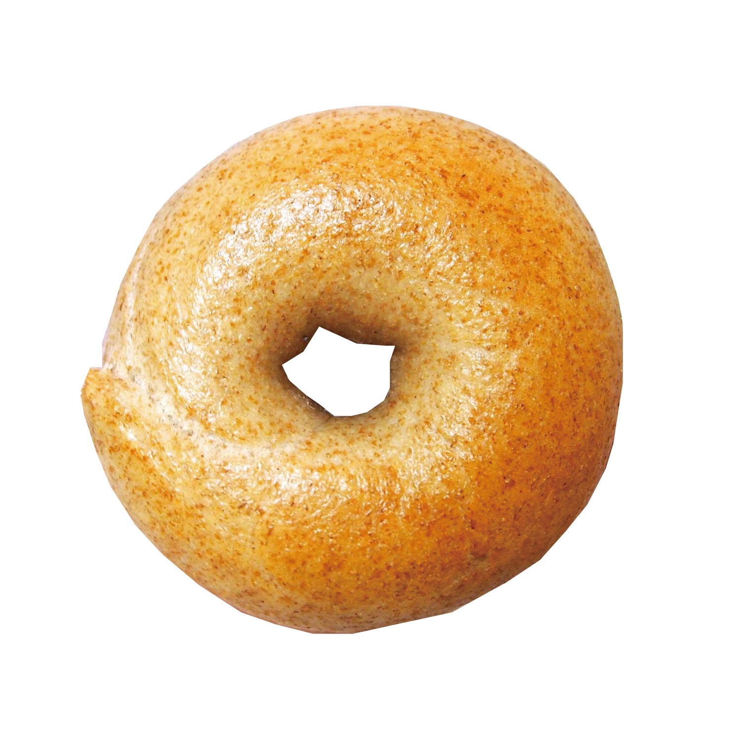 WHOLE WHEAT BAGEL