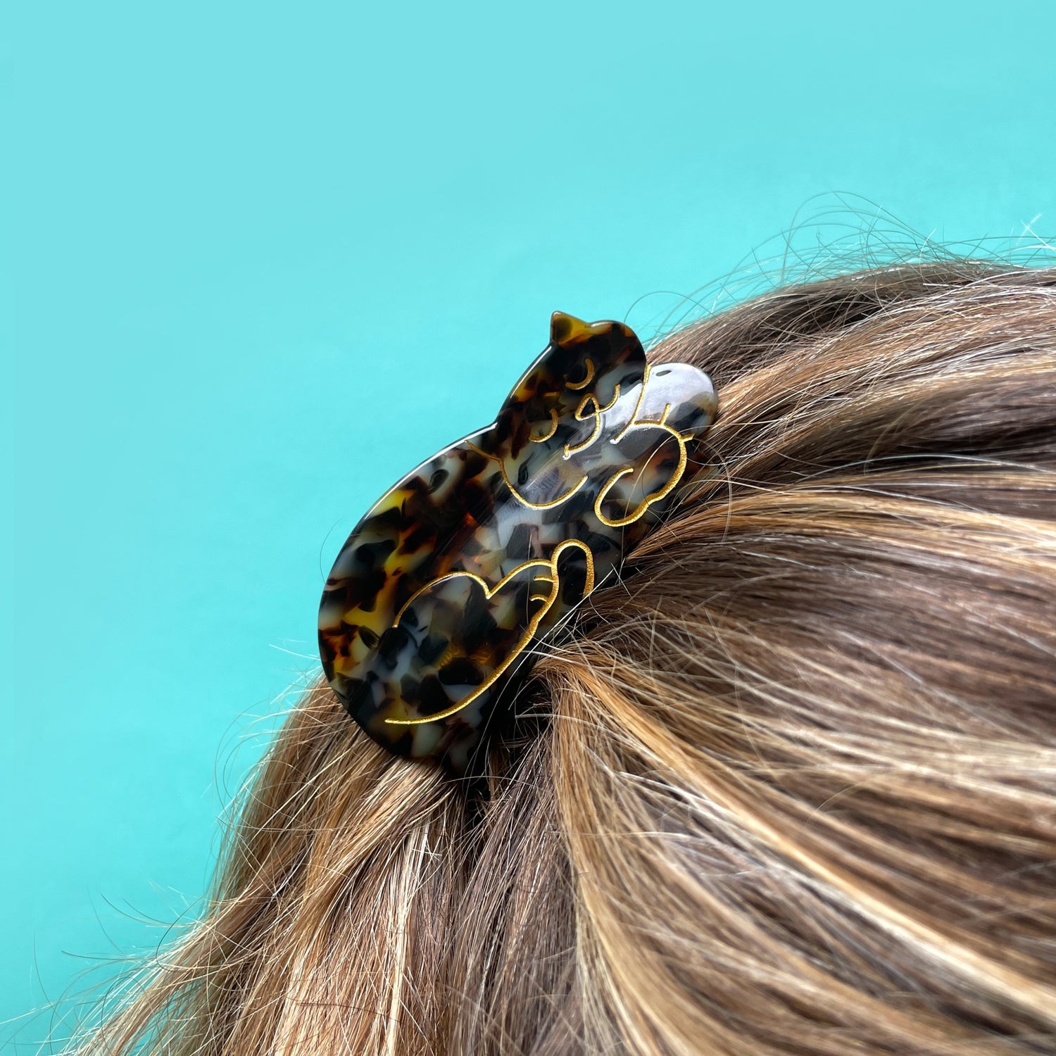 Tortoiseshell Cat