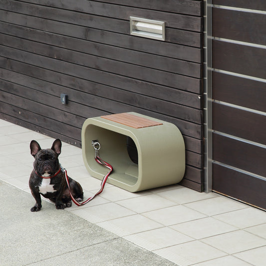 愛犬家の多目的ベンチ