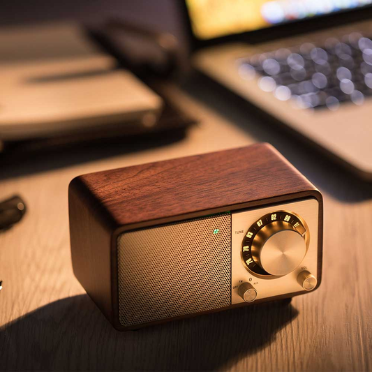 手のひらサイズのBluetoothスピーカー / FMラジオ