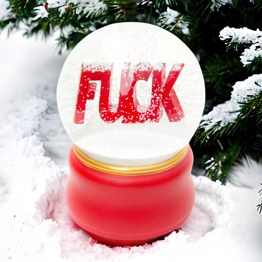 FxxKな人生のお土産 スノードーム