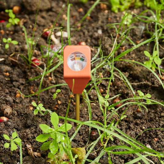 植物育てのアシスタントさん（ガーデン用湿度計）