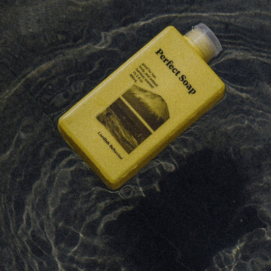 髪・身体・ウエットスーツを洗えるパーフェクトソープ / Lordish Behavior