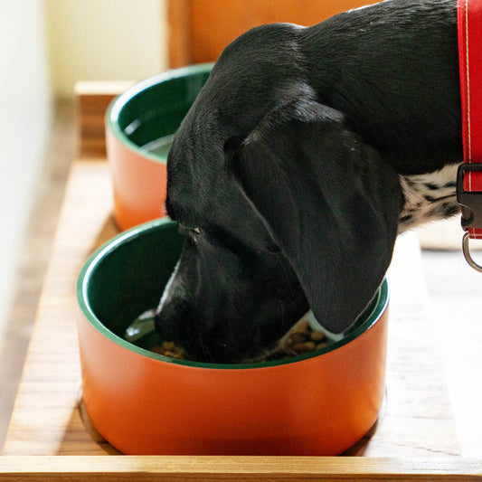 ダブルウォール・ドッグボウル